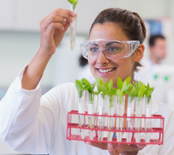 Master Traditional Herbology Degree Herbal Education